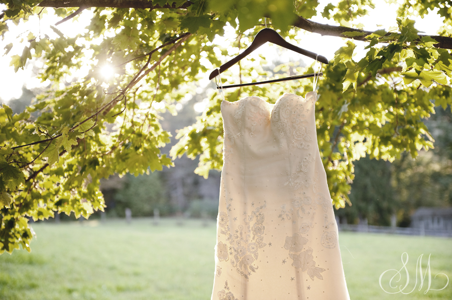 dressblog2